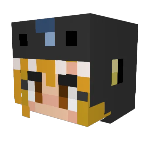 blue6669 Minecraft avatar head, 3D render