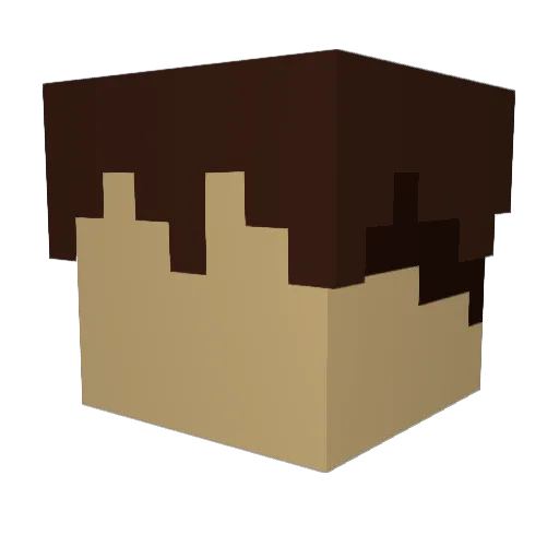 blue_jack14 Minecraft avatar head, 3D render