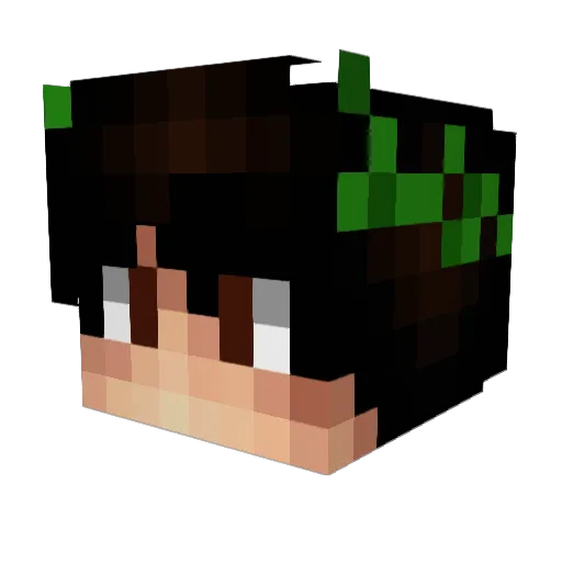 blue_ray425 Minecraft avatar head, 3D render
