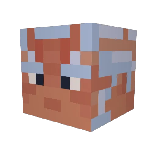blue_tides Minecraft avatar head, 3D render