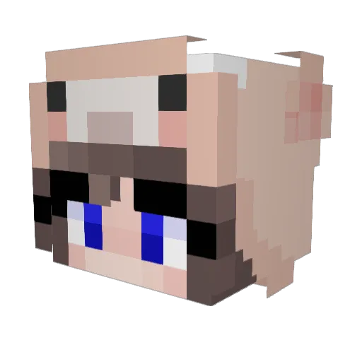 blue_yellow Minecraft avatar head, 3D render