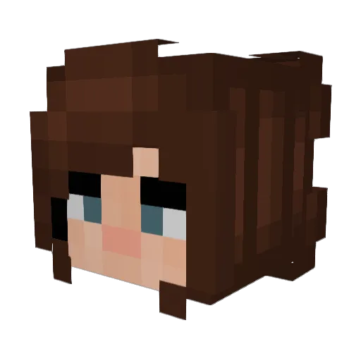 blueberryfoxes Minecraft avatar head, 3D render