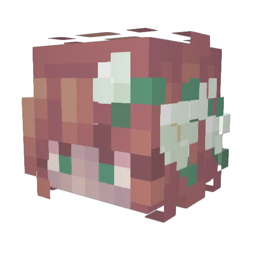 blueberryp4tch Minecraft avatar head, 3D render