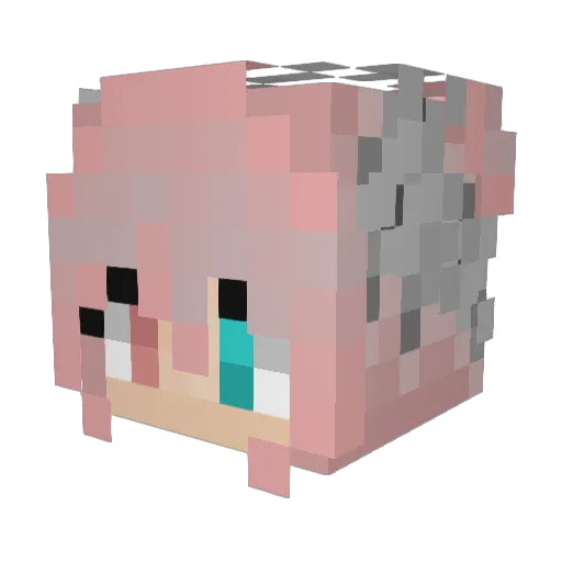 blueberrywaves Minecraft avatar head, 3D render