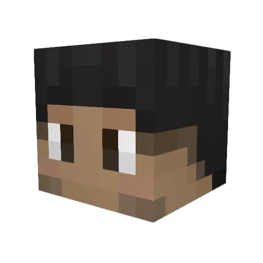 bluebroom Minecraft avatar head, 3D render