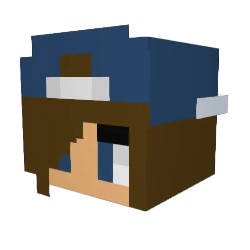 bluecookies10 Minecraft avatar head, 3D render