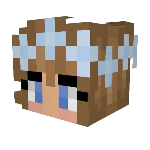bluediamonds123 Minecraft avatar head, 3D render