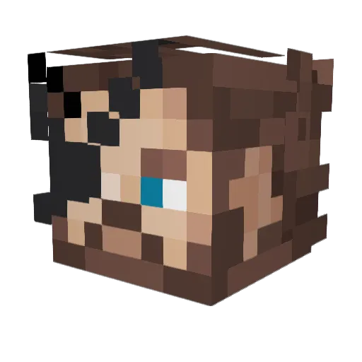 bluedude323 Minecraft avatar head, 3D render
