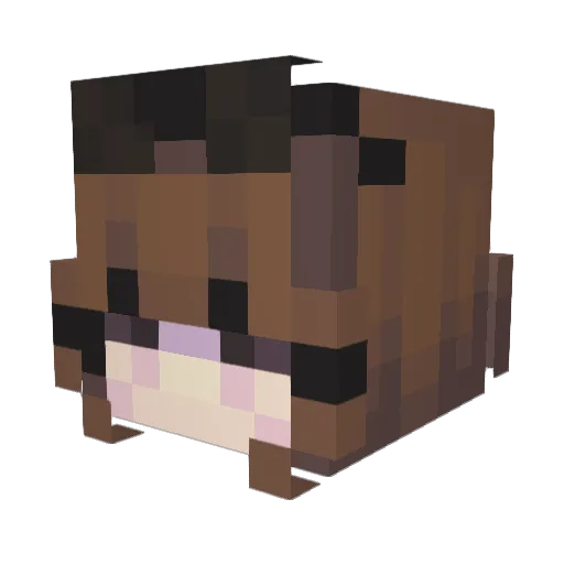 blueface732 Minecraft avatar head, 3D render