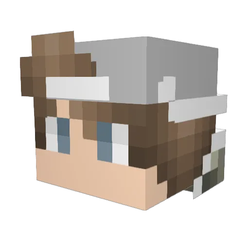 bluefire55 Minecraft avatar head, 3D render