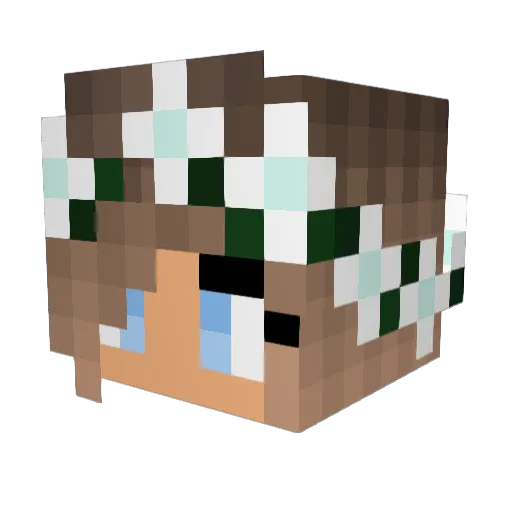 blueflower15 Minecraft avatar head, 3D render