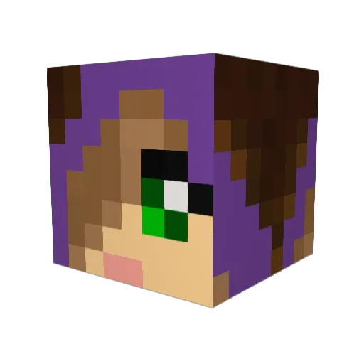blueflowers123 Minecraft avatar head, 3D render