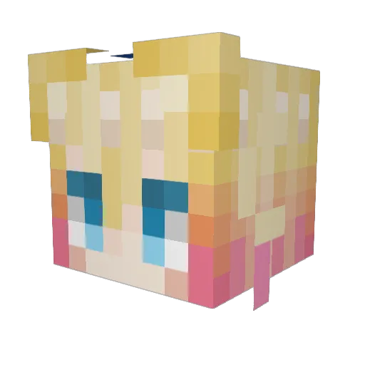 bluefox514 Minecraft avatar head, 3D render