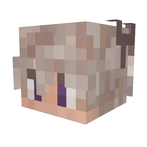 bluegrassbanjos Minecraft avatar head, 3D render