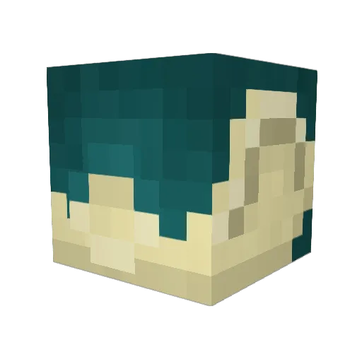 bluegustus Minecraft avatar head, 3D render
