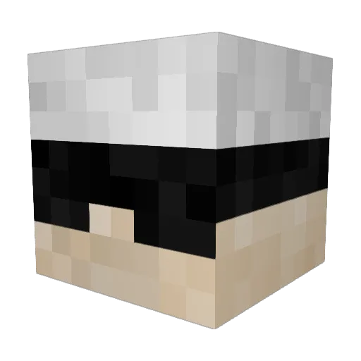 bluejack11 Minecraft avatar head, 3D render
