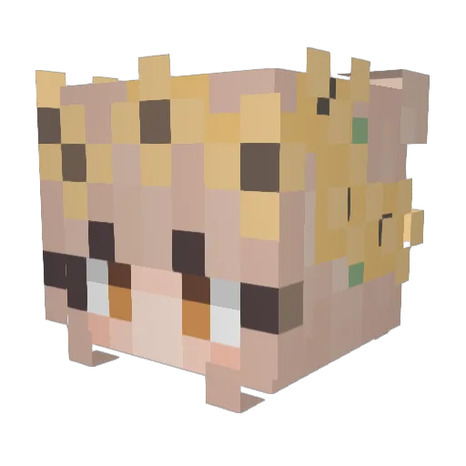 bluejayy02 Minecraft avatar head, 3D render