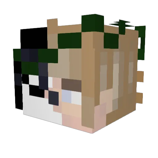 bluejayybird Minecraft avatar head, 3D render