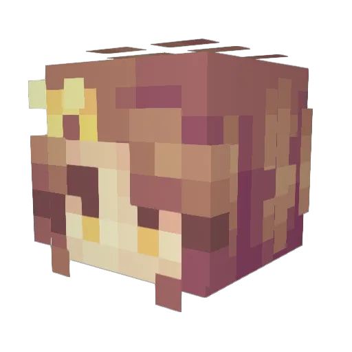 bluekatt17 Minecraft avatar head, 3D render