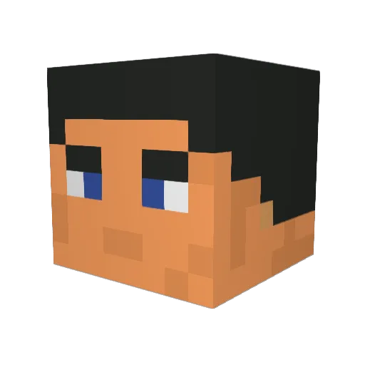 blueking5956 Minecraft avatar head, 3D render