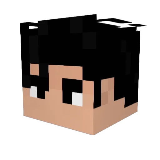 bluekoala01 Minecraft avatar head, 3D render