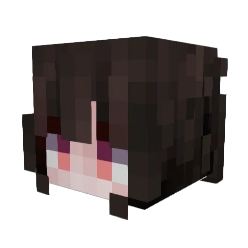 blueleaf3014 Minecraft avatar head, 3D render