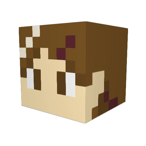 bluemoon02 Minecraft avatar head, 3D render