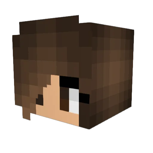 bluemoon3590 Minecraft avatar head, 3D render