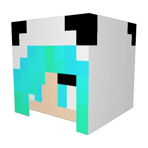 bluepanda646 Minecraft avatar head, 3D render