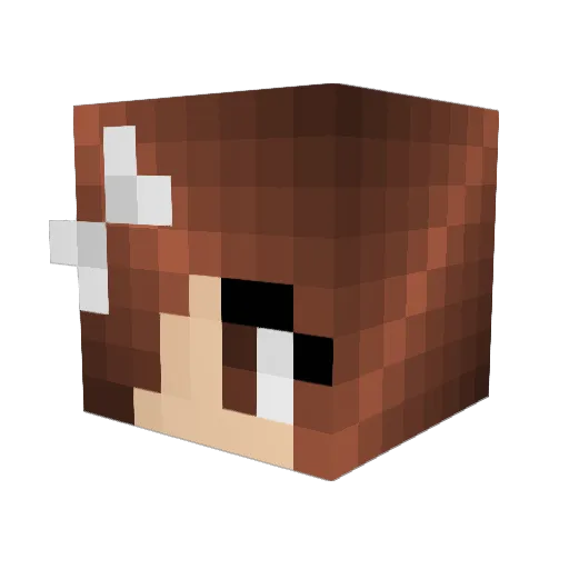 blueshoes123 Minecraft avatar head, 3D render