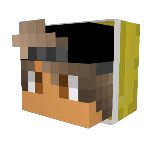 blueskull6392 Minecraft avatar head, 3D render