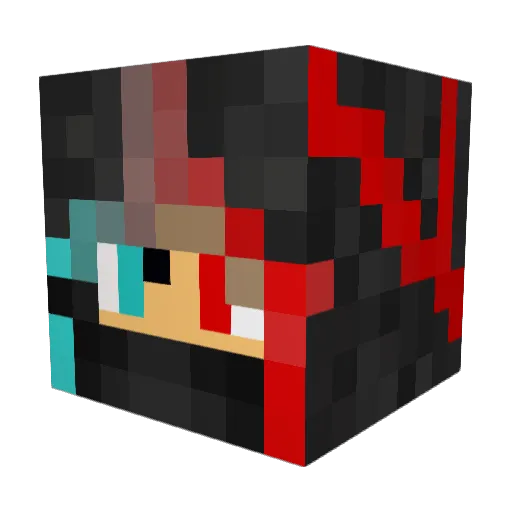 bluesky0505 Minecraft avatar head, 3D render