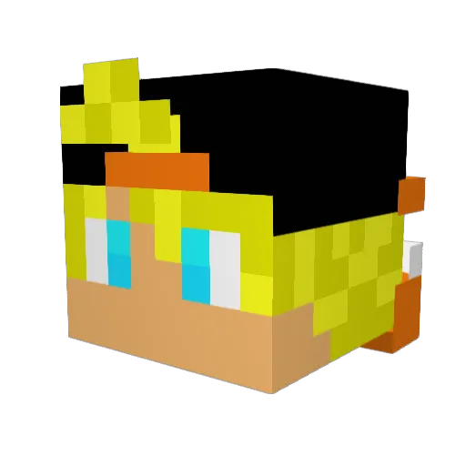 blueslime0217 Minecraft avatar head, 3D render
