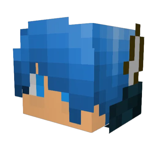 bluespy169 Minecraft avatar head, 3D render