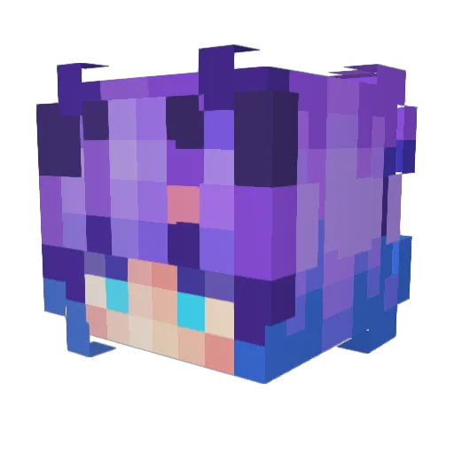 bluestar155 Minecraft avatar head, 3D render