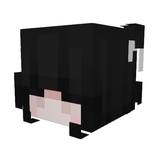 bluesxa Minecraft avatar head, 3D render