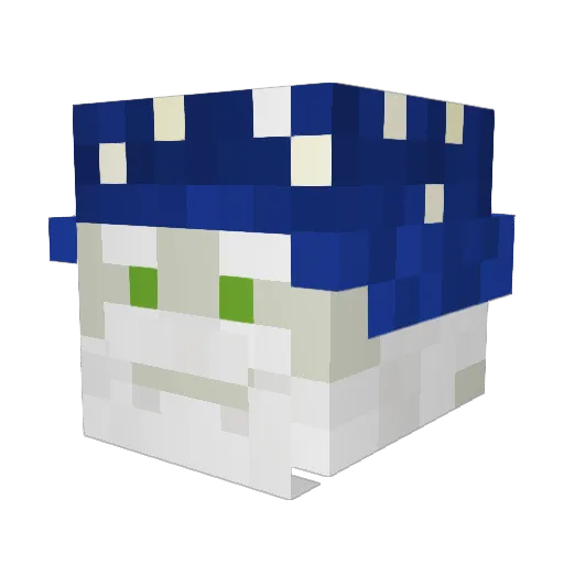 blueterms Minecraft avatar head, 3D render