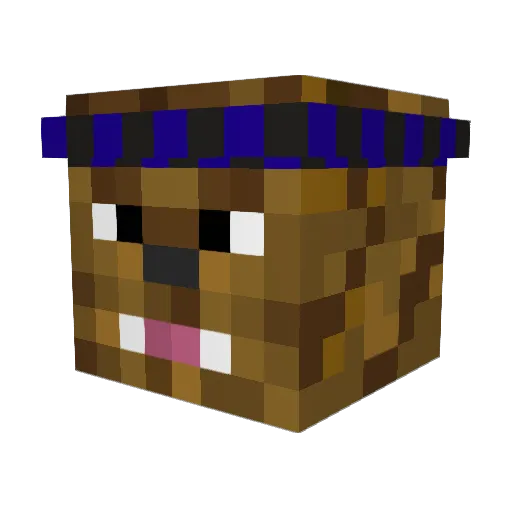 bluetiebacca Minecraft avatar head, 3D render