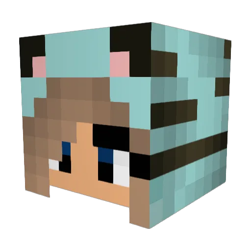 bluetiger2004 Minecraft avatar head, 3D render