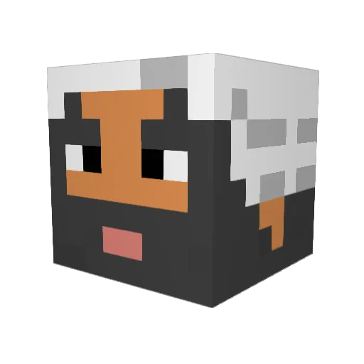 bluevanman Minecraft avatar head, 3D render