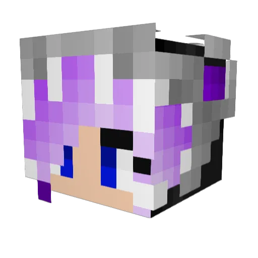 bluewood736 Minecraft avatar head, 3D render