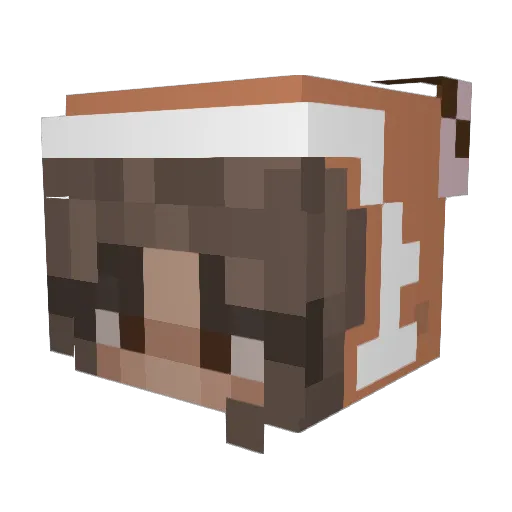 blufiore Minecraft avatar head, 3D render