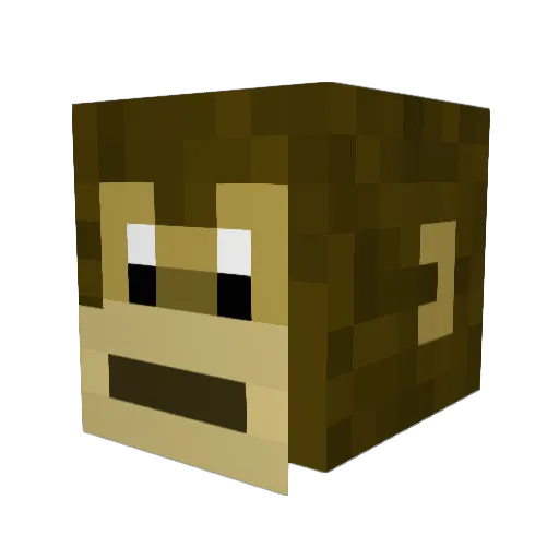 bluhu10 Minecraft avatar head, 3D render
