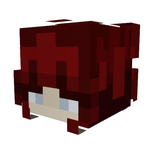 bluinseoul Minecraft avatar head, 3D render