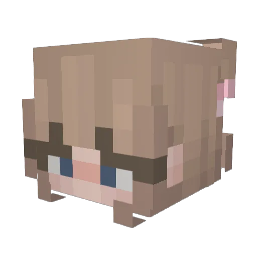 bluiz Minecraft avatar head, 3D render