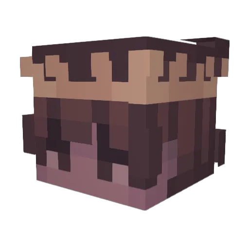 blujayden Minecraft avatar head, 3D render
