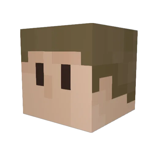 blunderdog Minecraft avatar head, 3D render