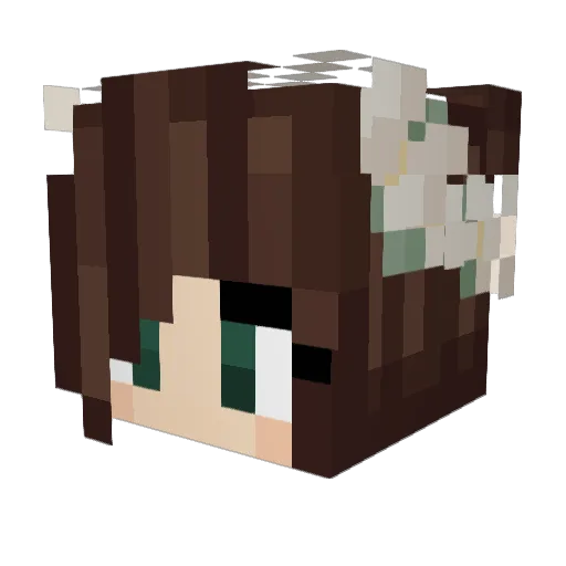 bluroxx Minecraft avatar head, 3D render