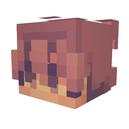blurree_ Minecraft avatar head, 3D render