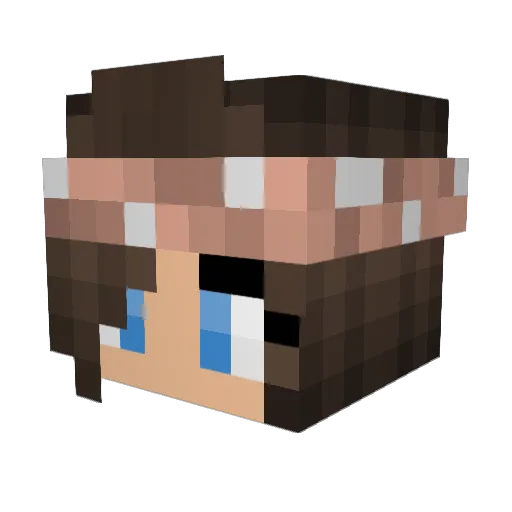 blusey24 Minecraft avatar head, 3D render